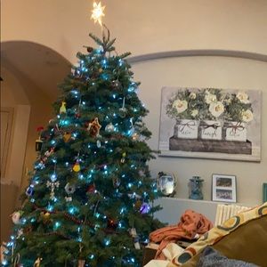 Meet your Posher, Kory